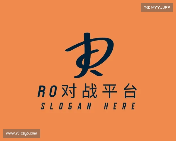 认识r0对战平台